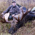 Alaska-Yukon bull moose