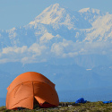 Camping with Denali